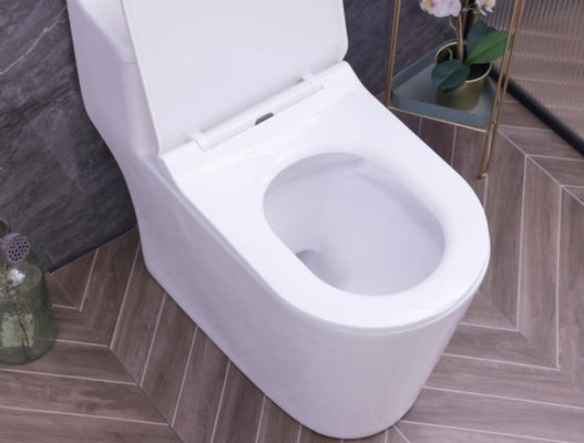 Economic Toilets SWS9286 Cheap Price Siphonic One piece Toilets S trap with PP Soft Closed Seat Cover