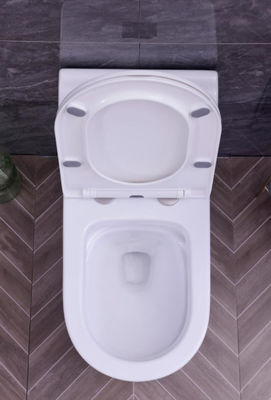 Economic Toilets SWS9286 Cheap Price Siphonic One piece Toilets S trap with PP Soft Closed Seat Cover