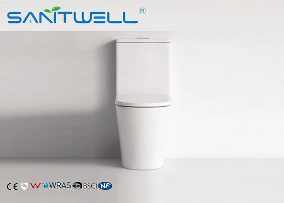 Floor standing Toilet  Back to Wall Full White Ceramic Washdown Soft Close Seat