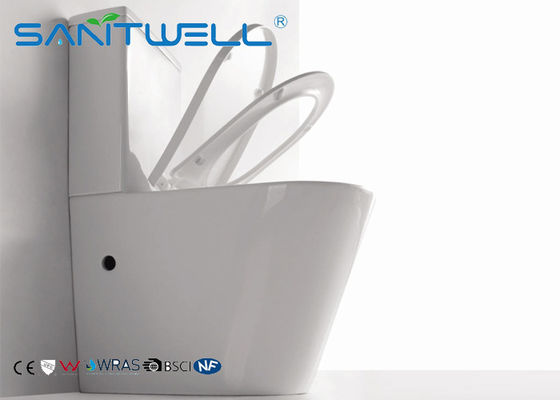 Floor standing Toilet  Back to Wall Full White Ceramic Washdown Soft Close Seat