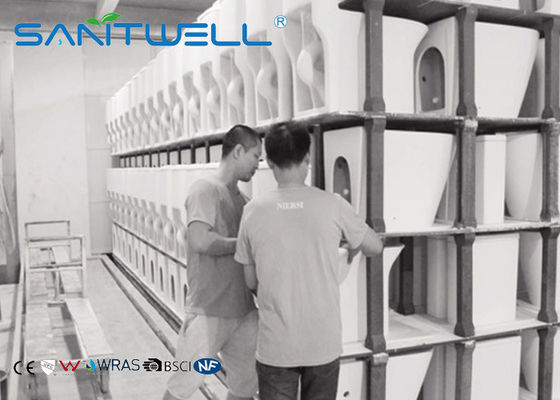 Floor standing Toilet  Back to Wall Full White Ceramic Washdown Soft Close Seat