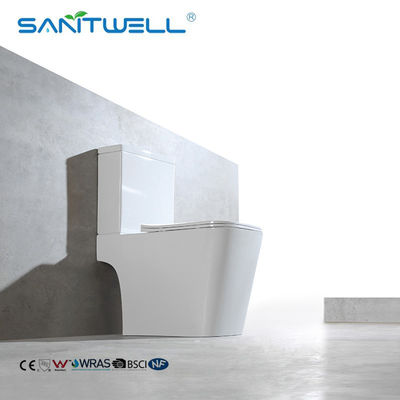 Bathroom Toilet SWM9000 Chaozhou Popular Styles S trap Toilet 1 Piece