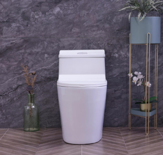 Economic Toilets SWS9286 Cheap Price Siphonic One piece Toilets S trap with PP Soft Closed Seat Cover