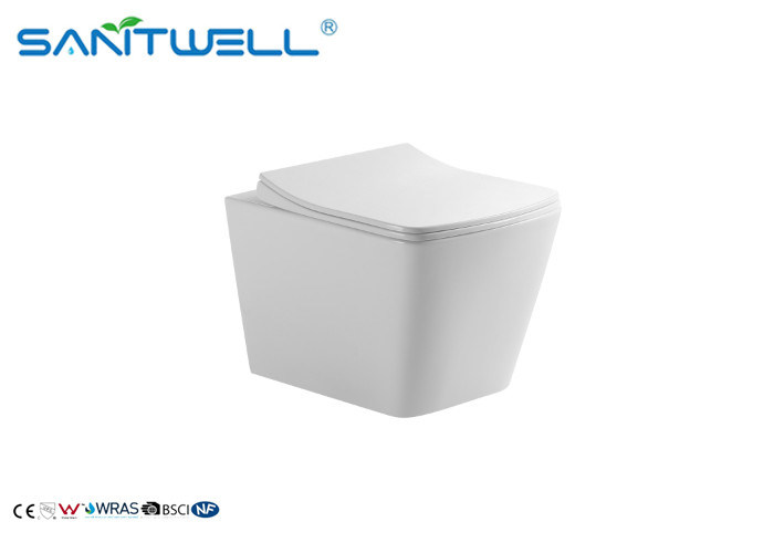 SWM9310 Commercial Washdown Rimless Toilet With UF Seat Cover Wall Hung Toilet